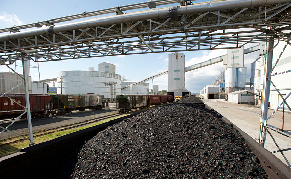 bulk terminal coal handling