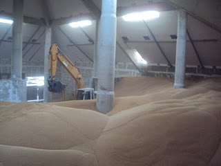 bulk wheat