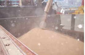 Bulk grain loading